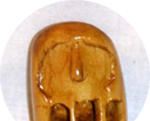 daruma wood netsuke
